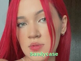 Sandycase