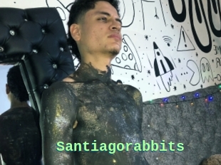 Santiagorabbits