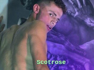 Scotrose