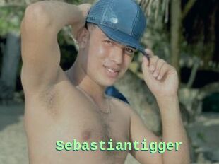 Sebastiantigger