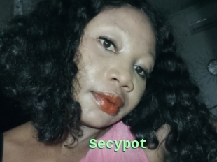 Secypot