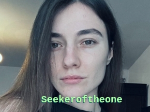 Seekeroftheone