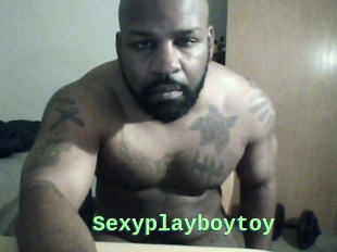 Sexyplayboytoy