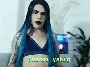 Shaneilysbig