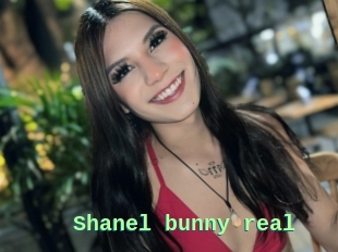 Shanel_bunny_real