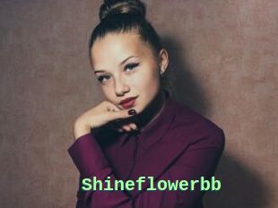 Shineflowerbb