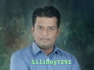 Siliboy7291