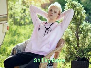 Silkydave