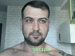 Skripa