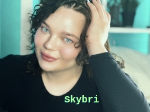 Skybri