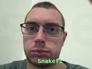 Snakefl