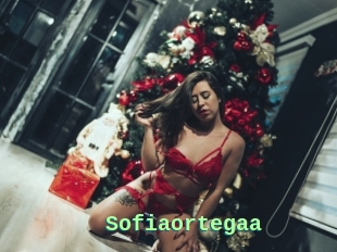 Sofiaortegaa