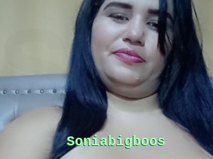 Soniabigboos