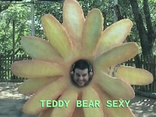 TEDDY_BEAR_SEXY