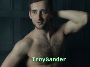 TroySander