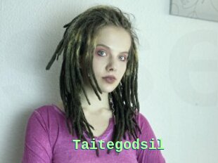 Taitegodsil