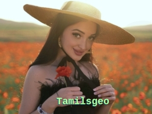 Tamilsgeo