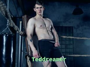 Teddreamer