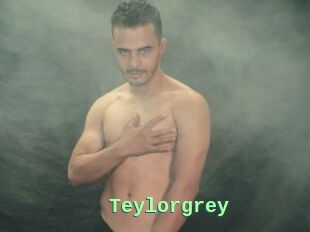 Teylorgrey