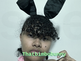 Thatbimbobunny