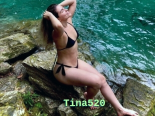 Tina520