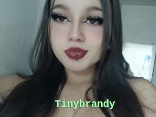 Tinybrandy