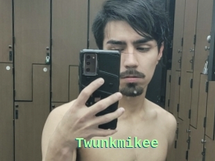 Twunkmikee