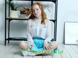 Urflowercassie