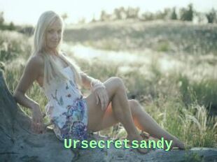 Ursecretsandy