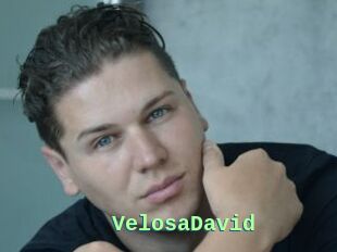 VelosaDavid