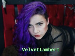 VelvetLambert