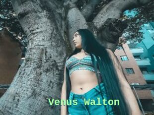 Venus_Walton