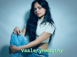 Vaalerynaugthy