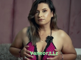 Vaneortiz