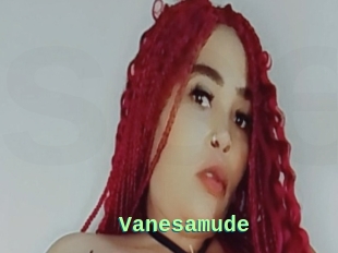 Vanesamude