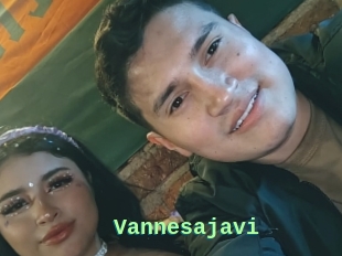 Vannesajavi