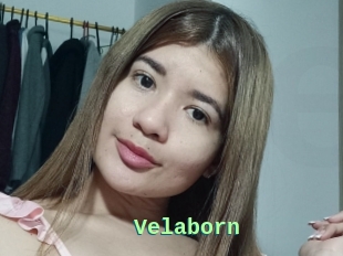 Velaborn