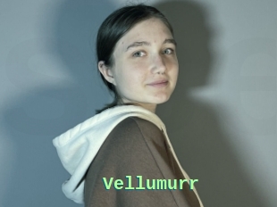 Vellumurr