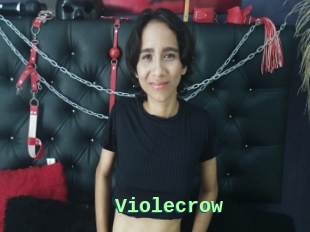 Violecrow