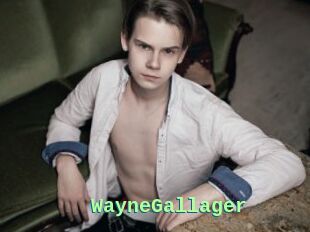 WayneGallager