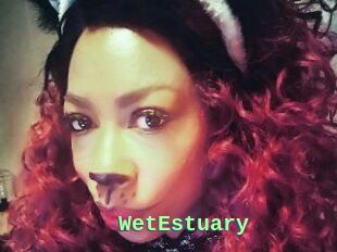 WetEstuary