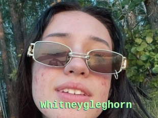 Whitneygleghorn