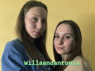 Willaandantonia