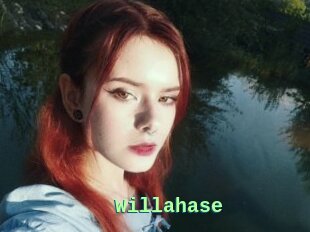 Willahase