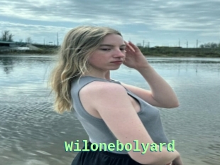 Wilonebolyard