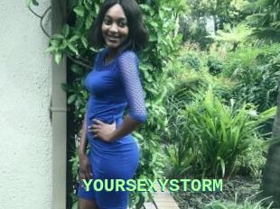 YOURSEXYSTORM