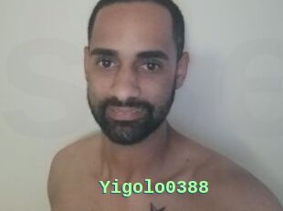 Yigolo0388