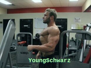 YoungSchwarz