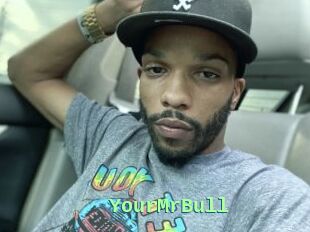 YourMrBull