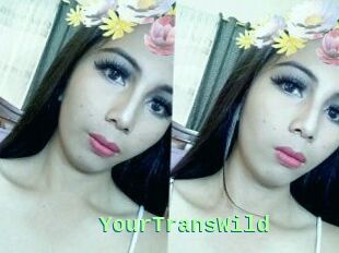 YourTransWild